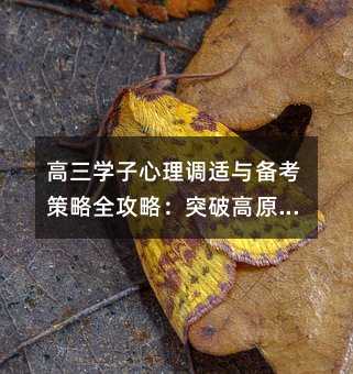 高三學(xué)子心理調(diào)適與備考策略全攻略:突破高原期,科學(xué)提升學(xué)習(xí)效能