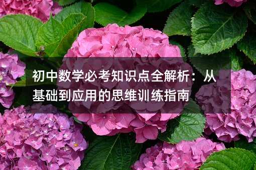 初中數(shù)學(xué)必考知識(shí)點(diǎn)全解析:從基礎(chǔ)到應(yīng)用的思維訓(xùn)練指南