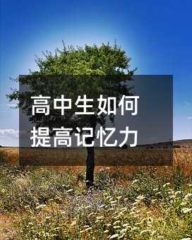 高中生如何提高記憶力