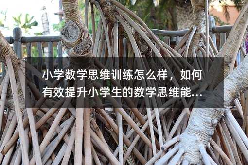 小學數學思維訓練怎么樣,如何有效提升小學生的數學思維能力?