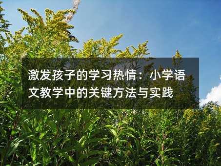 激發(fā)孩子的學(xué)習(xí)熱情:小學(xué)語文教學(xué)中的關(guān)鍵方法與實踐