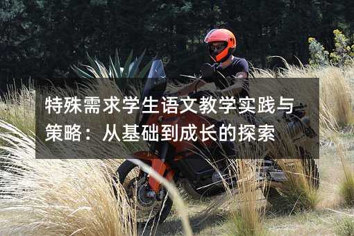 特殊需求學(xué)生語文教學(xué)實踐與策略:從基礎(chǔ)到成長的探索