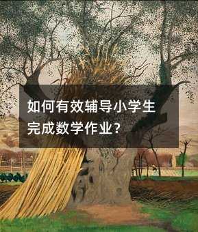 如何有效輔導小學生完成數學作業?
