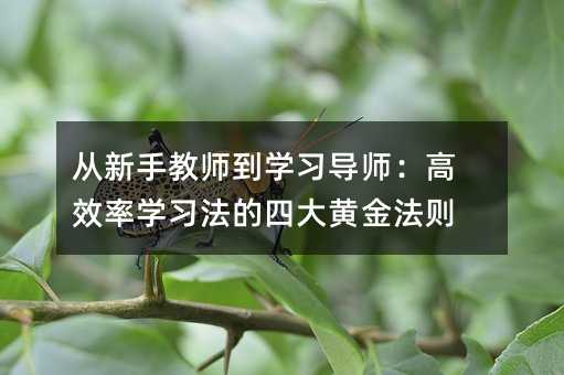 從新手教師到學習導師:高效率學習法的四大黃金法則