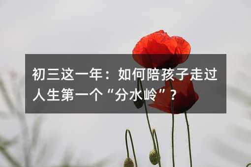 初三這一年:如何陪孩子走過人生第一個“分水嶺”?