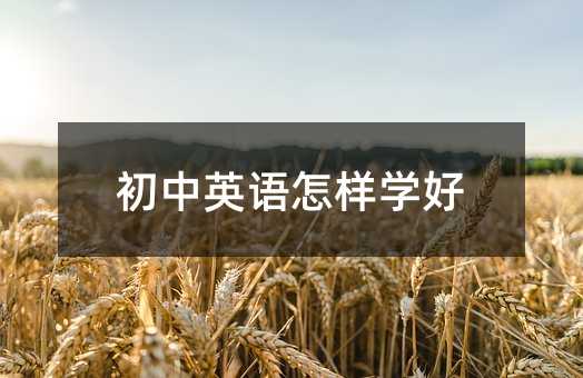 初中英語怎樣學(xué)好