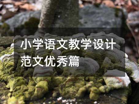 小學(xué)語文教學(xué)設(shè)計(jì)范文優(yōu)秀篇