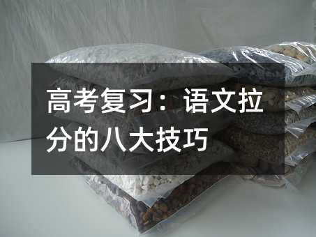 高考復(fù)習(xí):語文拉分的八大技巧