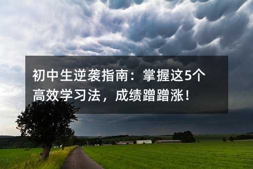 初中生逆襲指南:掌握這5個(gè)高效學(xué)習(xí)法,成績(jī)蹭蹭漲!