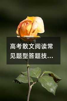 高考散文閱讀常見題型答題技巧及套路
