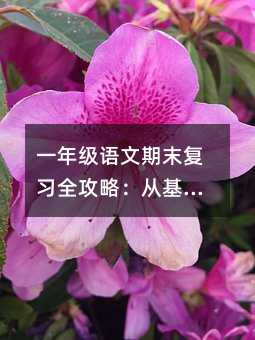 一年級語文期末復習全攻略:從基礎到提升的實用方法