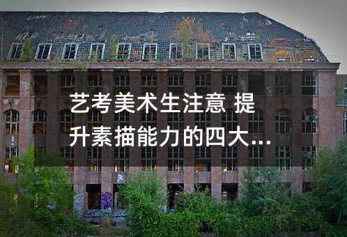 藝考美術生注意 提升素描能力的四大要點