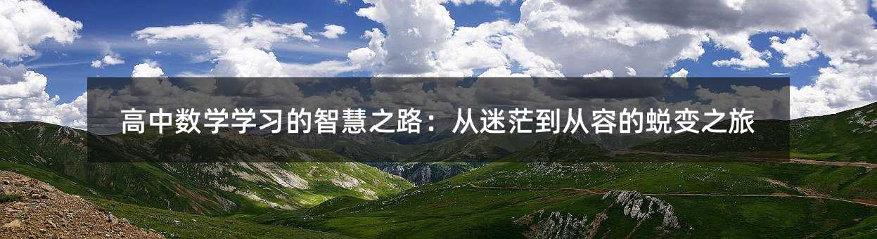高中數(shù)學(xué)學(xué)習(xí)的智慧之路:從迷茫到從容的蛻變之旅