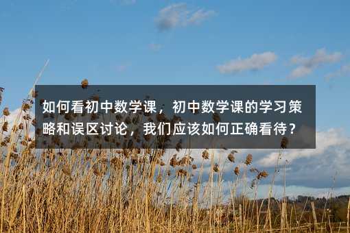 如何看初中數學課,初中數學課的學習策略和誤區討論,我們應該如何正確看待?