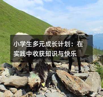 小學(xué)生多元成長(zhǎng)計(jì)劃:在實(shí)踐中收獲知識(shí)與快樂(lè)
