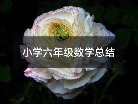 小學六年級數學總結