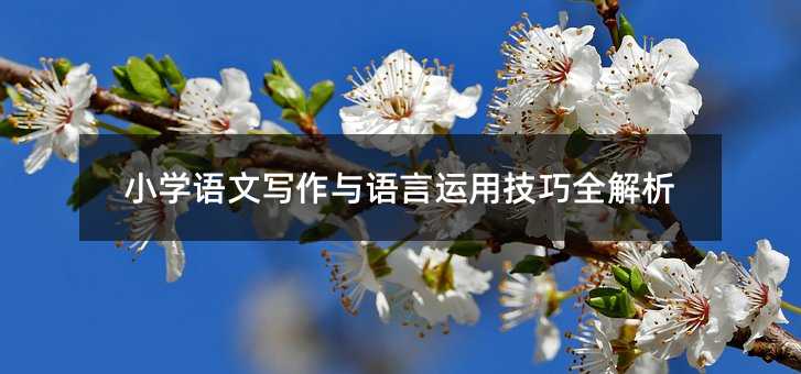 小學(xué)語文寫作與語言運用技巧全解析