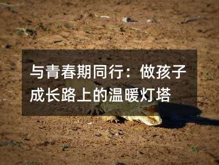 �c�ഺ��ͬ�У������ӳ��L·�ϵĜ�ů����