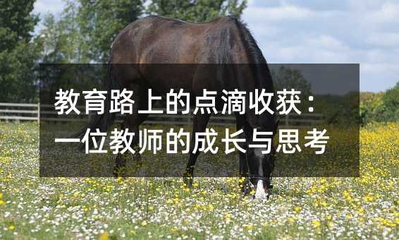 教育路上的點滴收獲:一位教師的成長與思考