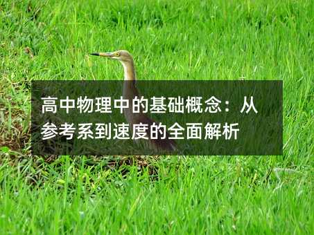 高中物理中的基礎概念:從參考系到速度的全面解析