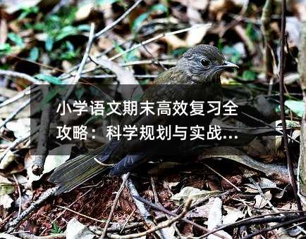 小學語文期末高效復習全攻略:科學規劃與實戰技巧