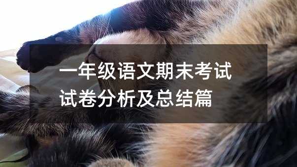 一年級語文期末考試試卷分析及總結篇