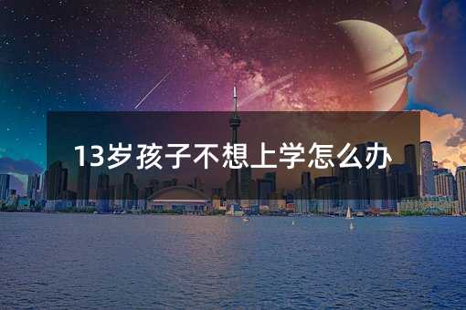 13�q���Ӳ����όW��ô�k