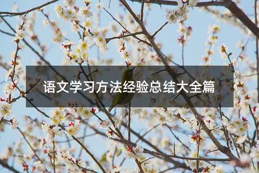 語文學(xué)習(xí)方法經(jīng)驗總結(jié)大全篇