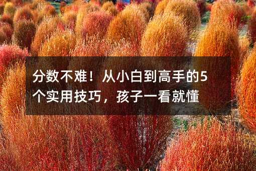 分數(shù)不難!從小白到高手的5個實用技巧,孩子一看就懂