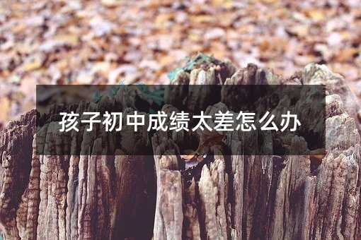 ���ӳ��гɿ�̫����ô�k