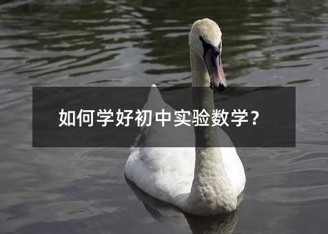 如何學好初中實驗數學?