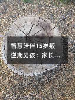 智慧陪伴15歲叛逆期男孩:家長實用成長指南