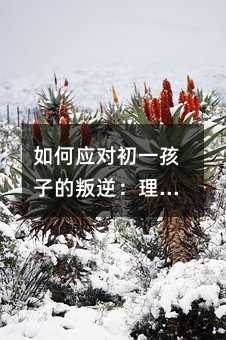 如何應對初一孩子的叛逆:理解與陪伴的關鍵