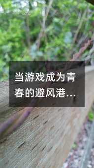 當(dāng)游戲成為青春的避風(fēng)港:一位父親的救贖之路