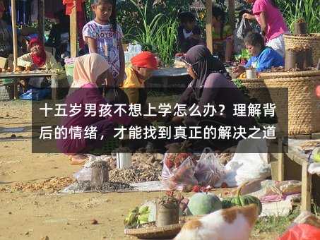 十五歲男孩不想上學怎么辦?理解背后的情緒,才能找到真正的解決之道