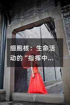 �����ˣ�������ӵġ�ָ�]���ġ�����������Ҳ���p�����յ��������֪�R