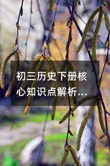 初三歷史下冊(cè)核心知識(shí)點(diǎn)解析:從戰(zhàn)后復(fù)興到民族獨(dú)立浪潮