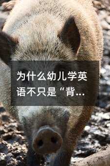 為什么幼兒學(xué)英語(yǔ)不只是“背單詞”?這些你可能沒(méi)想過(guò)的益處才真正影響孩子一生