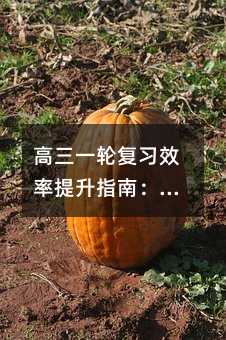 高三一輪復習效率提升指南:科學方法助你彎道超車