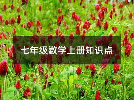 七年級數學上冊知識點