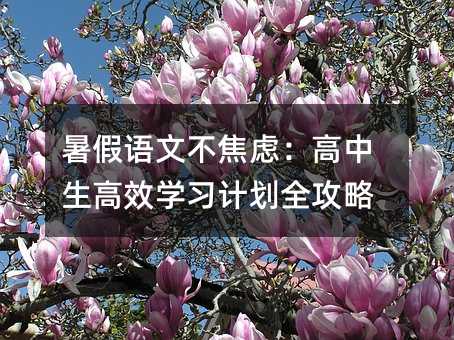 暑假語文不焦慮:高中生高效學(xué)習(xí)計(jì)劃全攻略