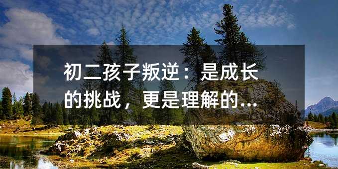 初二孩子叛逆:是成長的挑戰,更是理解的契機