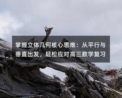 w׺κ˼Sƽcֱl(f)pɑ(yng)(du)(sh)W(xu)(f)(x)