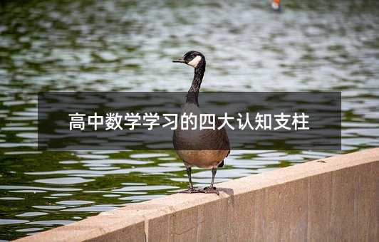 高中數學學習的四大認知支柱