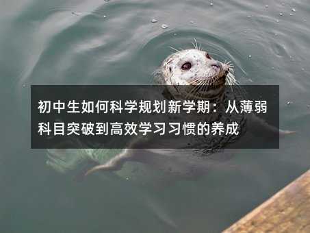 οƌWҎWڣıĿͻƵЧWTB