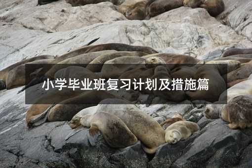 小學畢業班復習計劃及措施篇