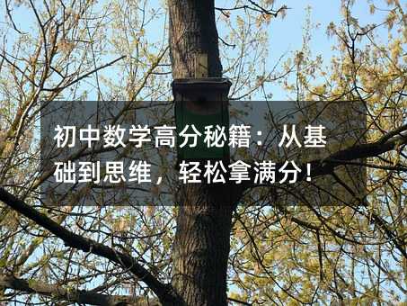 初中數(shù)學(xué)高分秘籍:從基礎(chǔ)到思維,輕松拿滿分!