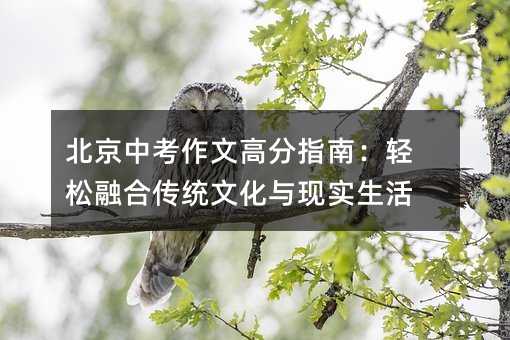 北京中考作文高分指南:輕松融合傳統文化與現實生活