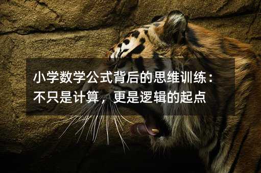 小學數學公式背后的思維訓練:不只是計算,更是邏輯的起點