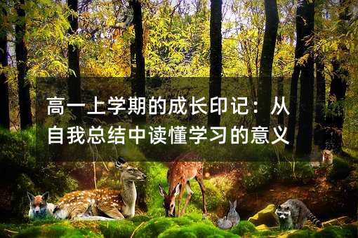 高一上學期的成長印記:從自我總結中讀懂學習的意義